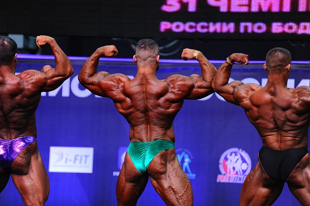 与伊万的战 与伊万的战