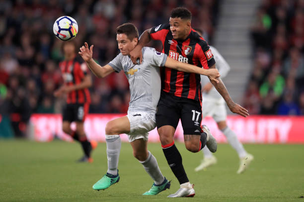 活力和斗志 活力和斗志