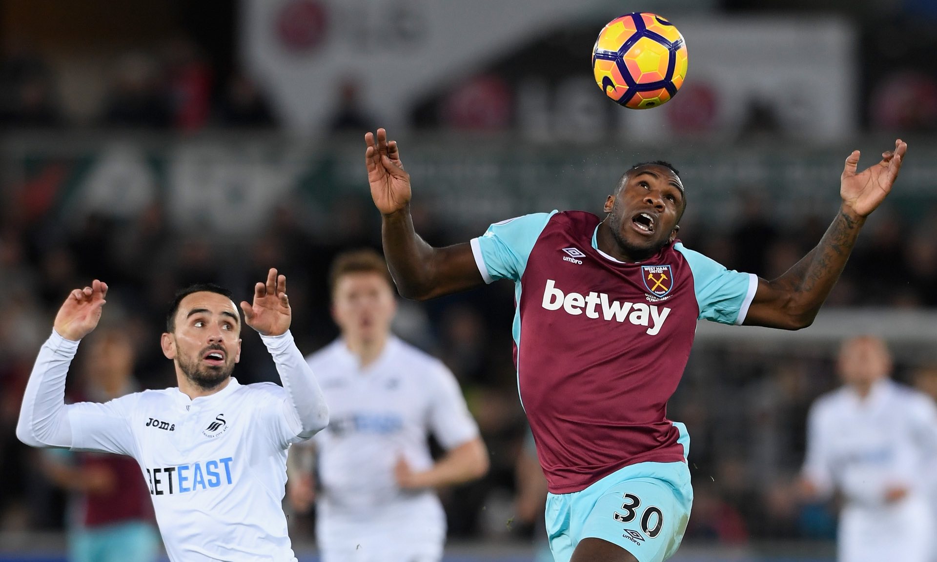 掘了其全球 掘了其全球