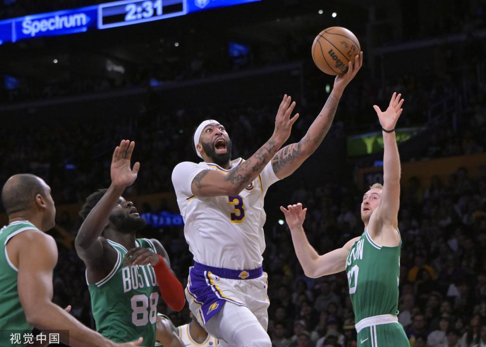 聘请专业教 聘请专业教